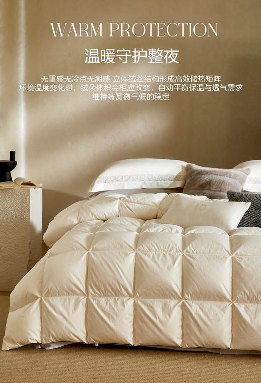 自然醒塞维尔双生鹅绒被旗舰款LB 商品图1