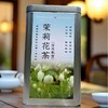 生态茉莉干花茉莉花茶 广西横州市中团茉莉花生态农场【顺丰包邮】 商品缩略图1