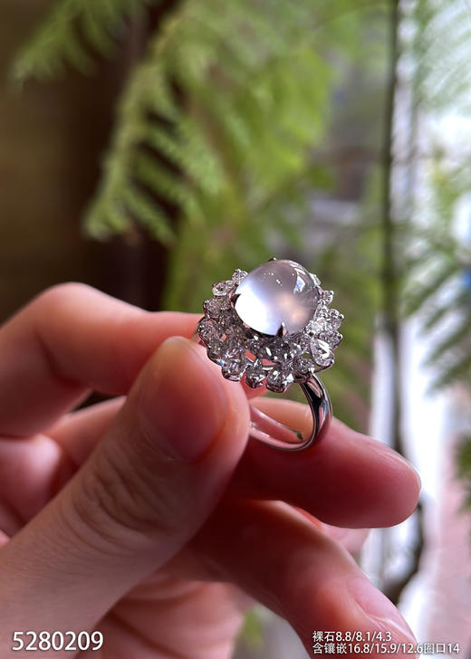 5280209，蛋面戒指。具体价格微信咨询 商品图2