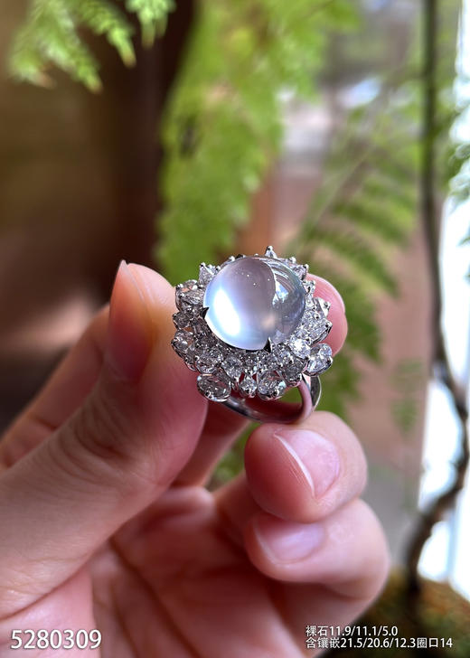5280309，蛋面戒指。具体价格微信咨询 商品图0