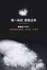 自然醒小暖仓白鹅绒冬被LB 商品缩略图9