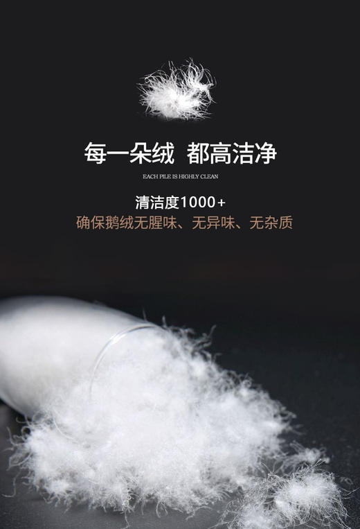 自然醒小暖仓白鹅绒冬被LB 商品图9