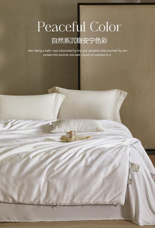 自然醒弗伦娜100%桑蚕丝春秋冬被LB 商品图4