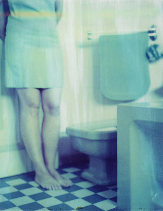 宝丽来国际大师 卡门・德・沃斯（Carmen De Vos） 商品图5