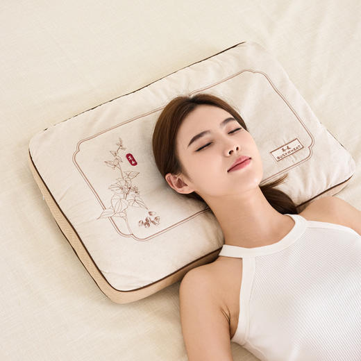 【品牌直发】加倍生活 禾绣立体棉麻荞麦枕 40*60cm 棉麻绣花草本荞麦枕头 中式亚麻刺绣荞麦壳枕头枕芯 商品图1