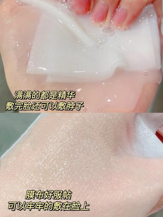 珀L雅小球藻保湿莹润面膜 商品图1