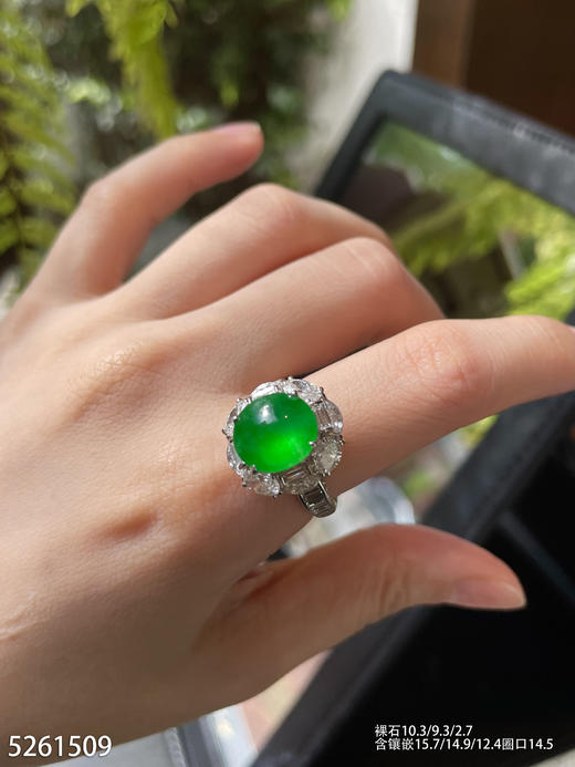 玻璃种黄阳绿蛋戒指【5261509】具体价格微信咨询 商品图5