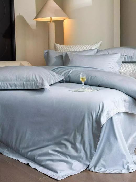 【春上新】10楼 恐龙 全棉100支素色绣花四件套 弗兰斯 200*230cm   吊牌价2680元    活动价699元 商品图2