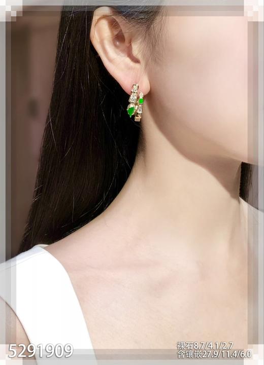 5291909，蛇耳钉。具体价格微信咨询 商品图4