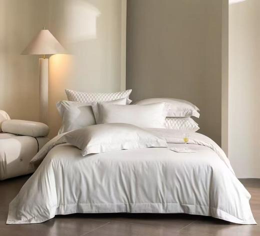 【春上新】10楼 恐龙 全棉100支素色绣花四件套 弗兰斯 200*230cm   吊牌价2680元    活动价699元 商品图1