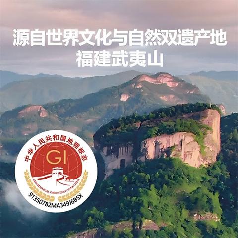 MM 山姆 八马武夷大红袍 425g 商品图2