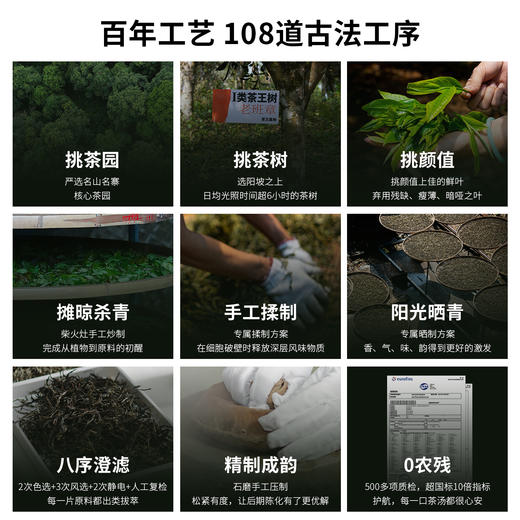【百万补贴】元昌号2019年易武正山生茶357克 商品图2