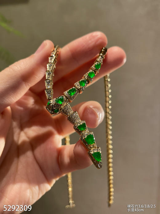 灵蛇套链【5292309】具体价格微信咨询 商品图0