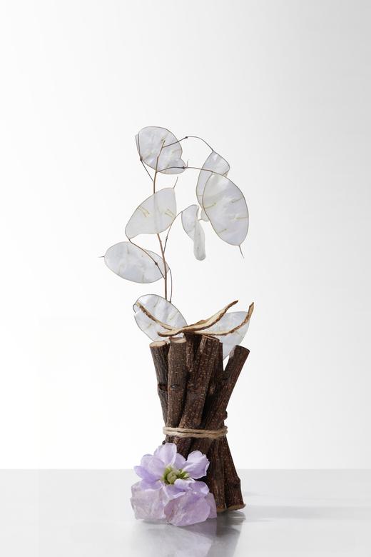 柔山VYRO 白与白芷 浓香水 parfum 12ml 商品图1