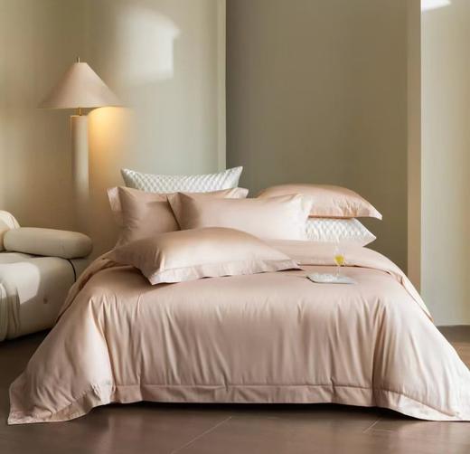 【春上新】10楼 恐龙 全棉100支素色绣花四件套 弗兰斯 200*230cm   吊牌价2680元    活动价699元 商品图0