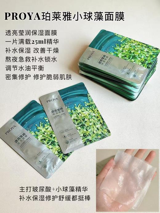 珀L雅小球藻保湿莹润面膜 商品图0