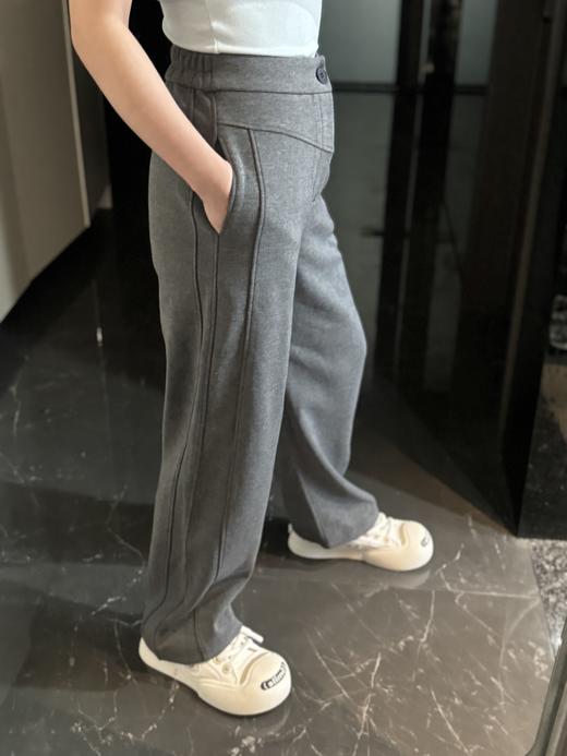 A*LIN中缝立体基础款纯色垂感拖地直筒加绒加厚休闲阔腿裤 商品图1