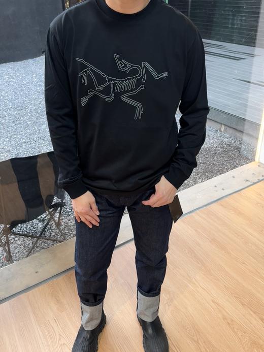 鸟家Archaeopteryx 刚需长袖 商品图6