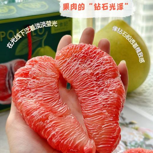 石家庄优选仓库速达，红玛瑙翡翠柚，清甜爽口，脆嫩多汁，柚香浓郁，礼盒/散装称重 商品图6