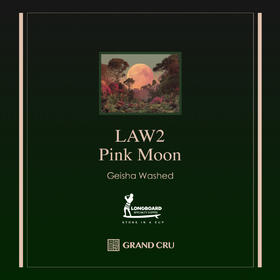 2025年冲浪板竞标 | LAW2-pink moon标次 | 迷雾庄园 野生酵母低温发酵水洗瑰夏