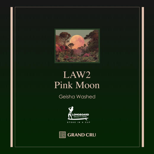 2025年冲浪板竞标 | LAW2-pink moon标次 | 迷雾庄园 野生酵母低温发酵水洗瑰夏 商品图0