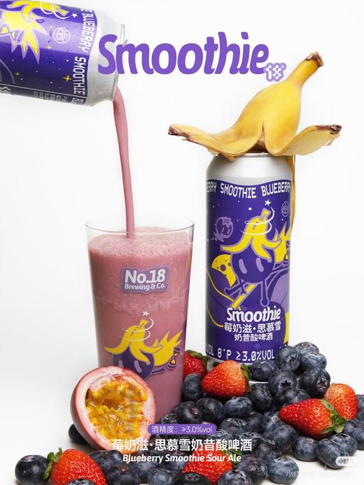 拾捌精酿 莓奶滋 500ml 商品图0