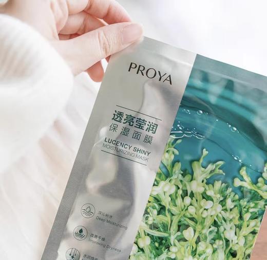 珀L雅小球藻保湿莹润面膜 商品图3