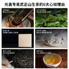 【百万补贴】元昌号2019年易武正山生茶357克 商品缩略图3