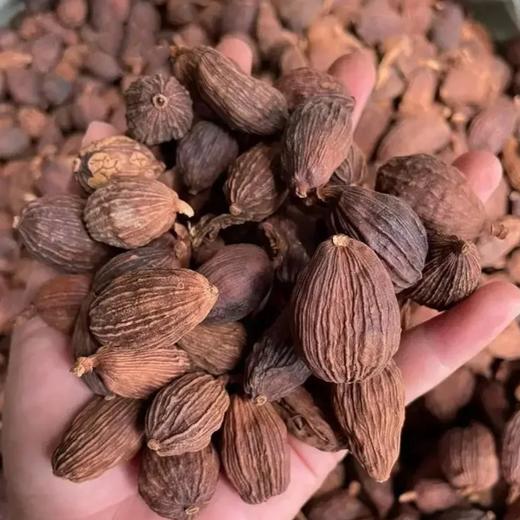 野生老树香料集合（八角+肉桂+香叶+草果，纯天然，无熏硫） 商品图6