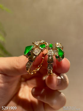 5291909，蛇耳钉。具体价格微信咨询