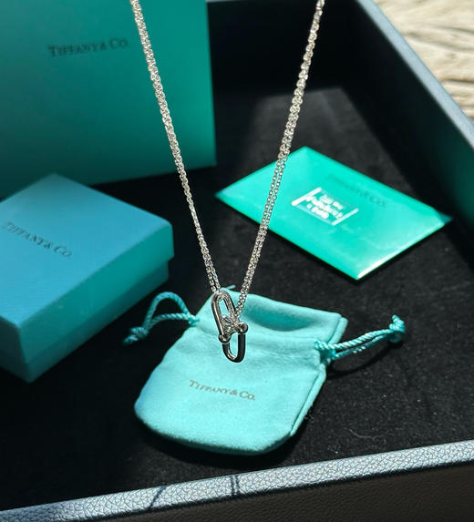 蒂芙n925银手链项链 商品图7