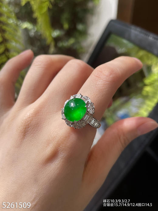 玻璃种黄阳绿蛋戒指【5261509】具体价格微信咨询 商品图3