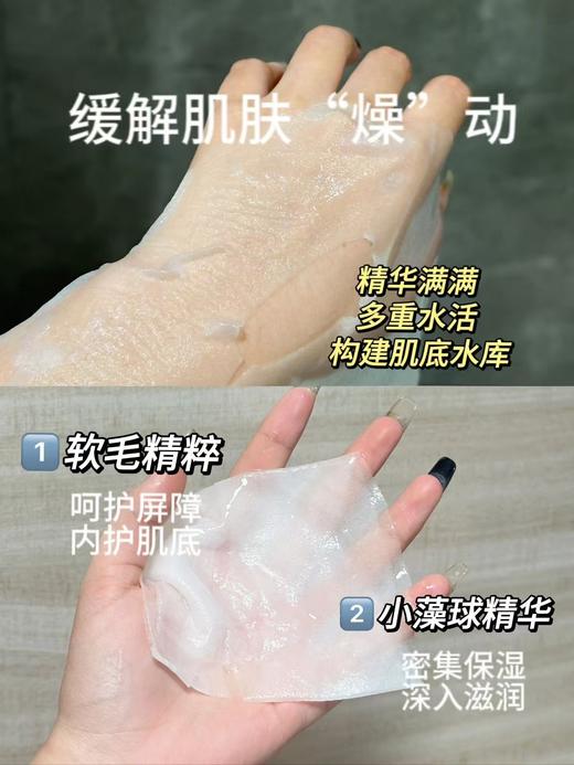 珀L雅小球藻保湿莹润面膜 商品图8