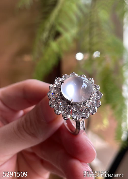 玻璃种蛋面戒指【5291509】具体价格微信咨询 商品图2