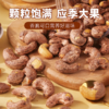 刻凡 紫皮腰果（罐装）348g 商品缩略图2