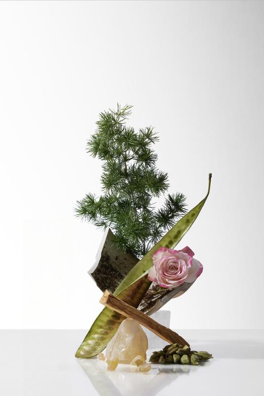 柔山VYRO   人鱼森林 浓香水  parfum 12ml 商品图1