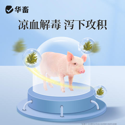 华畜大黄碳酸氢钠片1000片 健胃促消化 清热泻火 中和胃酸 增加食欲 商品图3