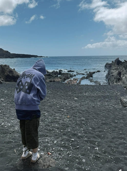 STUSSY骰子三色拉链连帽卫衣 商品图6