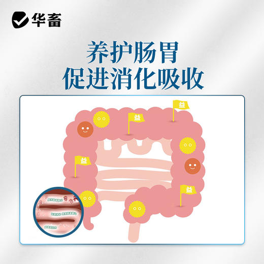 【积分兑换】华畜四胃动力500ml 提高肠胃消化力改善胃积食 商品图4
