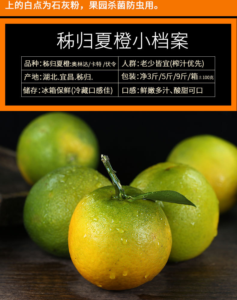 宜橙秭归夏橙绿皮新_03.jpg