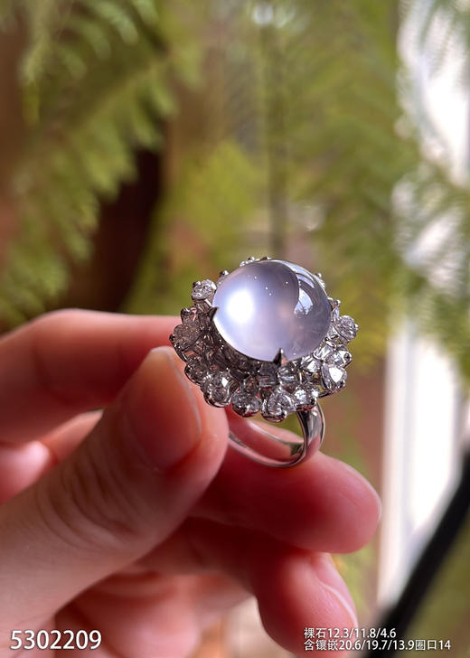 5302209，蛋面戒指。具体价格微信咨询 商品图2