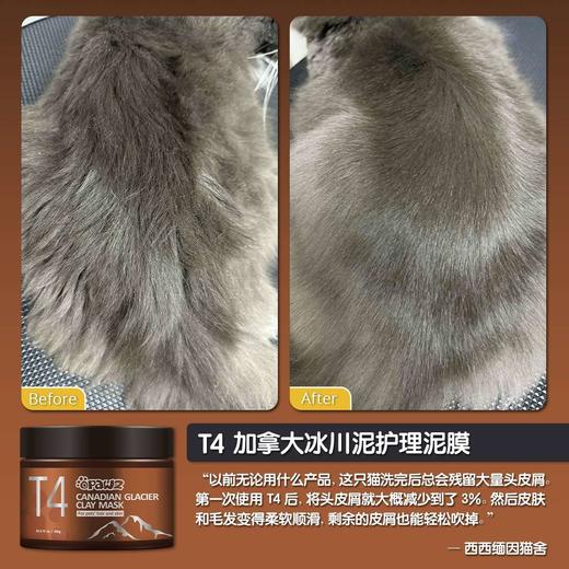 T4 加拿大冰川泥宠物护理泥膜 300g 商品图8