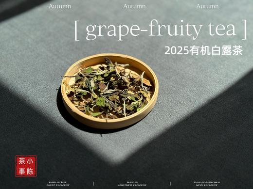 【新品】罕见青提葡萄果香的2025有机白露茶，又清鲜，又甜美。伴着清妍明媚的花香，柔润无比！（1斤收藏装） 商品图0