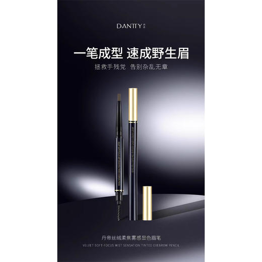 丹帝丝绒柔焦雾感显色眉笔01#棕03#灰 商品图2