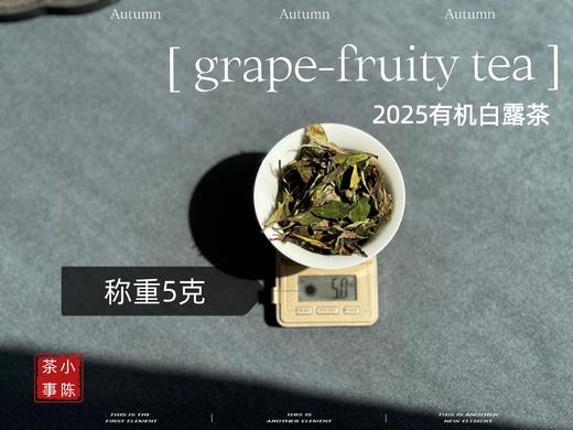 【新品】罕见青提葡萄果香的2025有机白露茶，又清鲜，又甜美。伴着清妍明媚的花香，柔润无比！（1斤收藏装） 商品图4