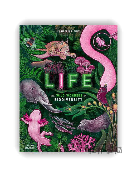 Life: The Wild Wonders of Biodiversity (Wild Wonders  3) / 生命的奥秘：探索野性多样的生物世界 （“野性奇迹”系列3） 商品图0