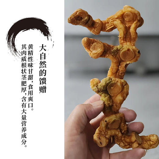 昌西公社天目九蒸九制黄精 商品图4