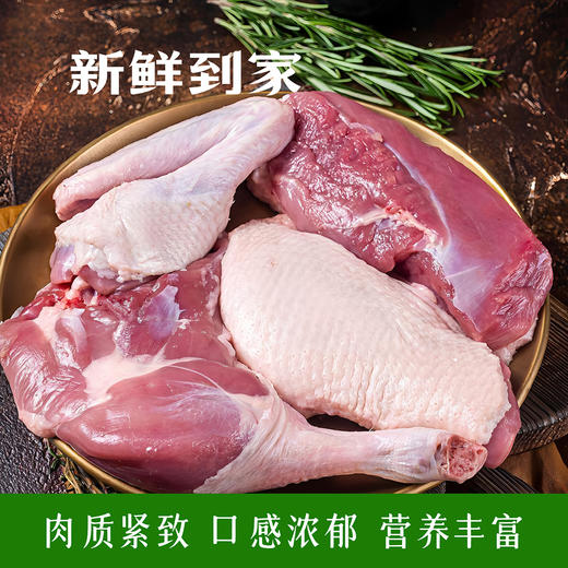 昌西公社溪水散养土鸭 商品图3