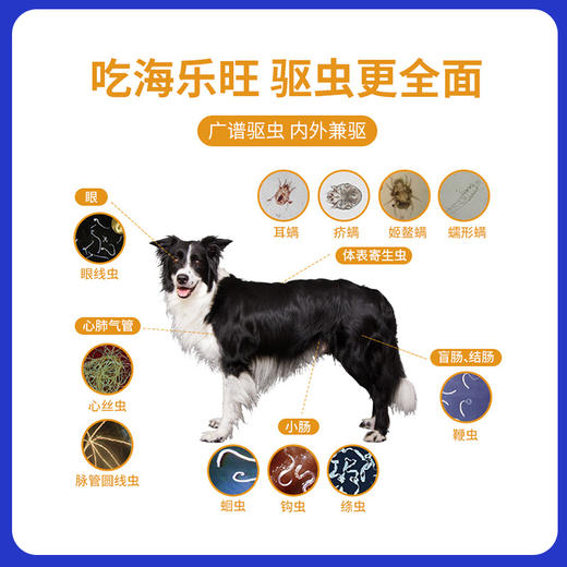海乐旺狗狗宠物体内外驱虫药内驱宠狗体外打虫药小狗幼犬成犬泰迪 商品图2