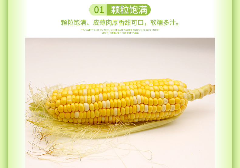 水果-玉米_05.jpg